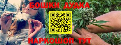 apvp Ярославль