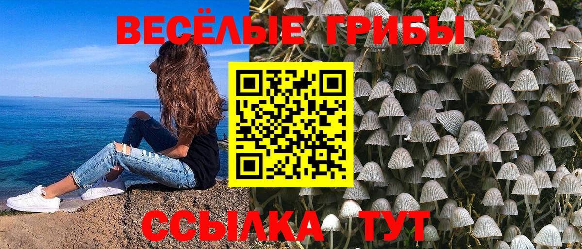 Архангельск  Псилоцибиновые грибы мицелий  Вход с VPN 